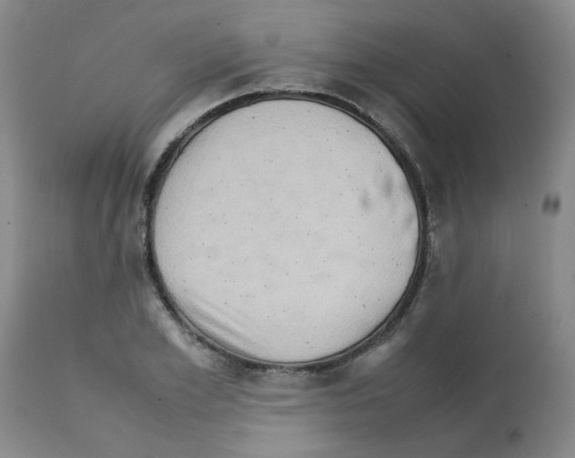 X0000112090981200909151132