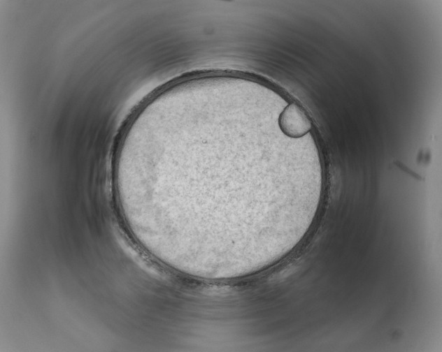 X0000112090982200909151132