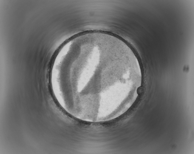 X0000112090983200909151132