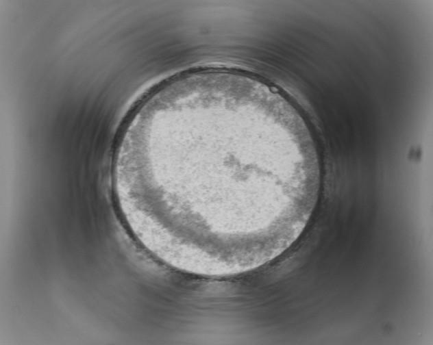 X0000112090984200909151132