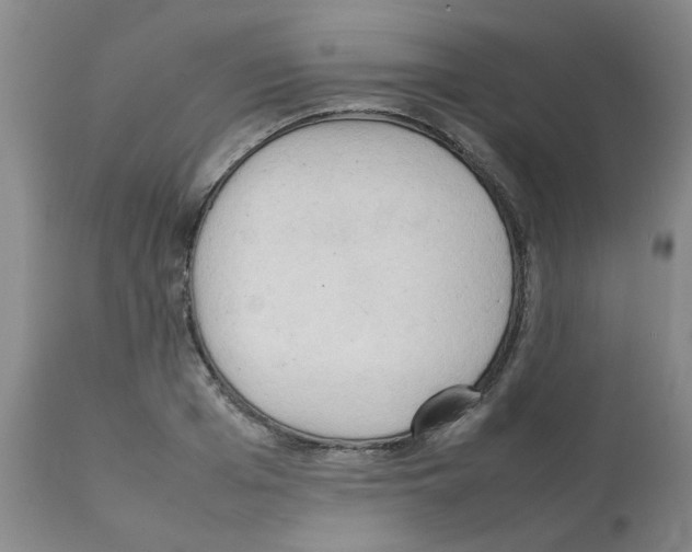 X0000112090985200909151132