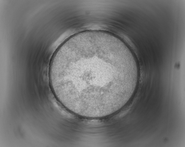 X0000112090986200909151132