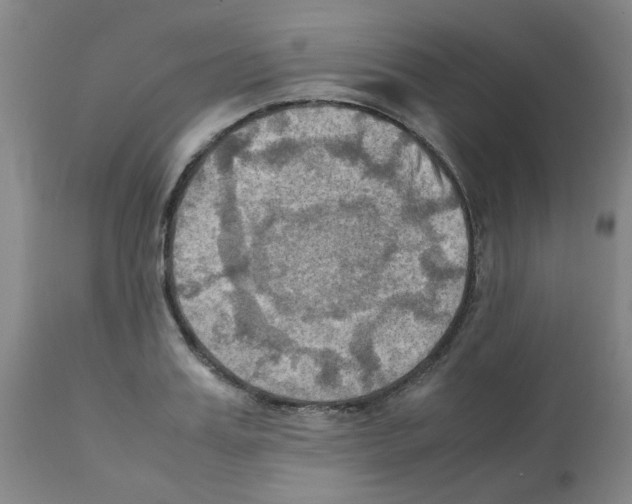 X0000112090987200909151132