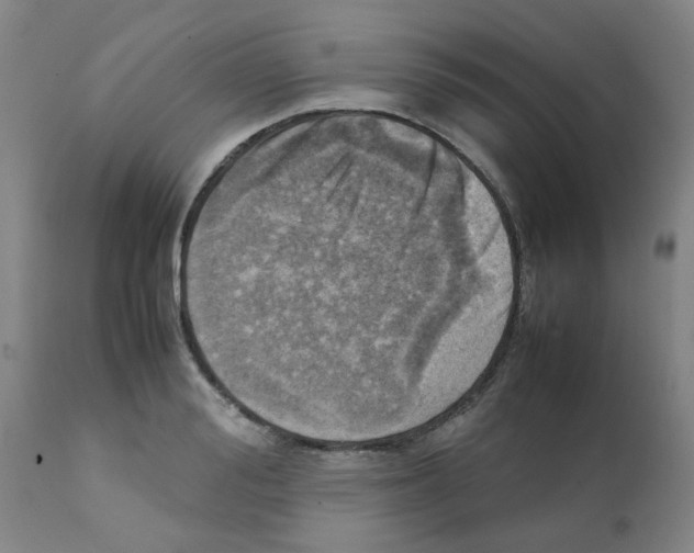 X0000112090988200909151132