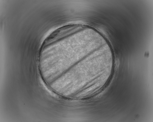 X0000112090989200909151132