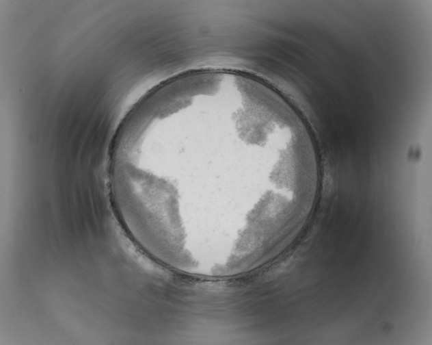 X0000112090990200909151132
