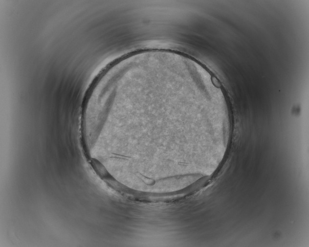 X0000112090992200909151132