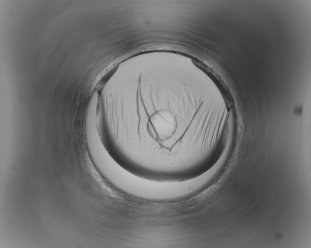 X0000112090993200909151132