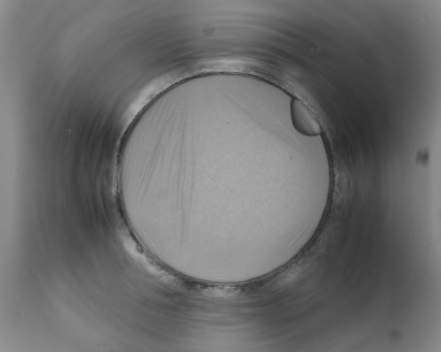 X0000112090994200909151132