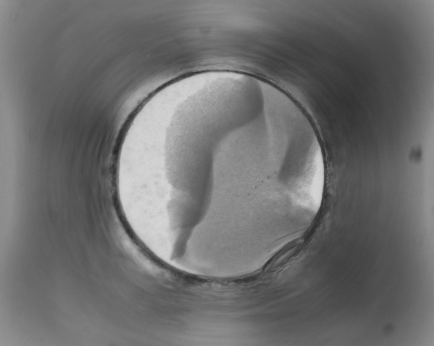 X0000112090995200909151132