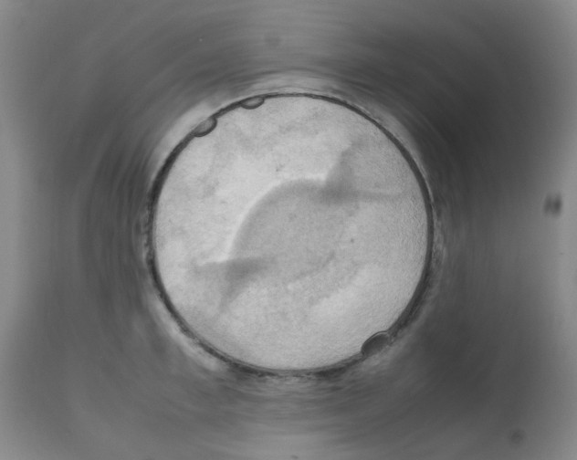 X0000112090997200909151132