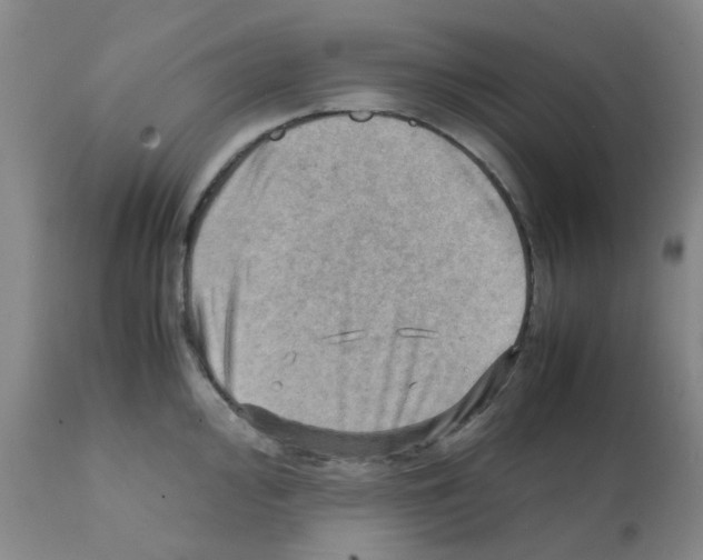 X0000112091000200909151132