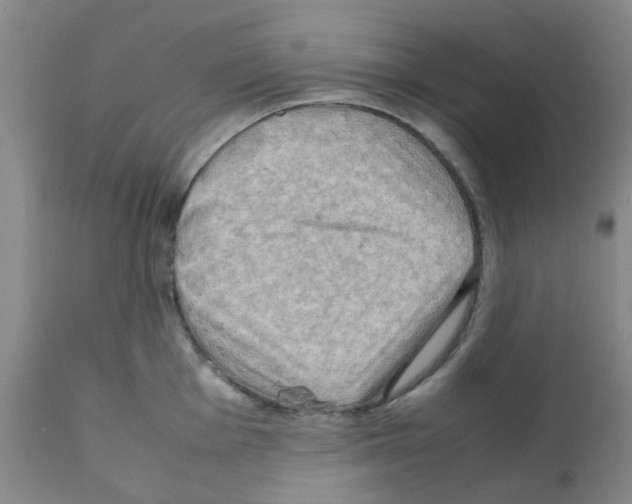 X0000112091001200909151132