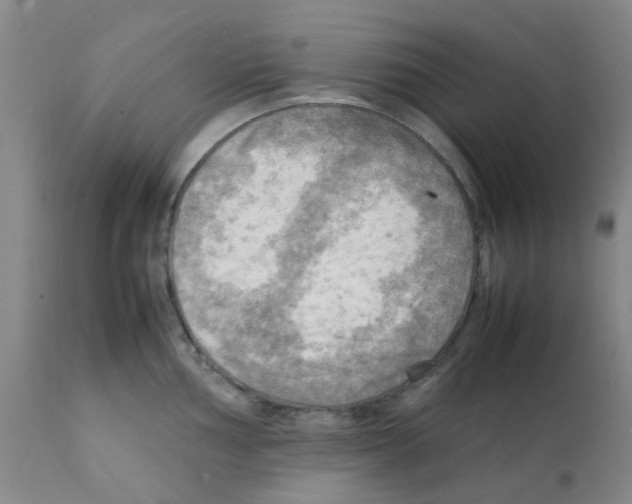 X0000112091002200909151132
