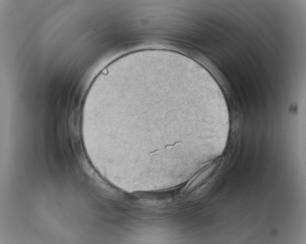 X0000112091004200909151132