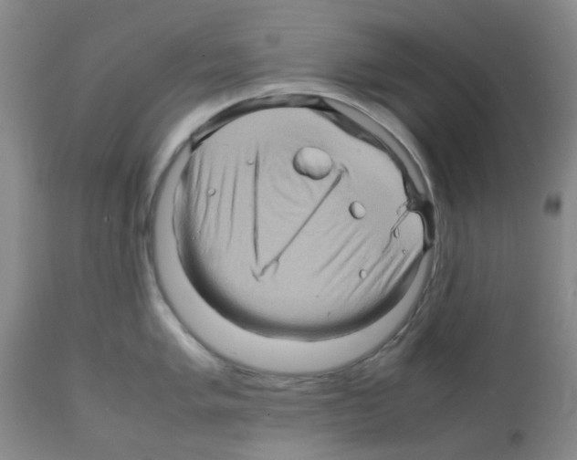 X0000112091005200909151132