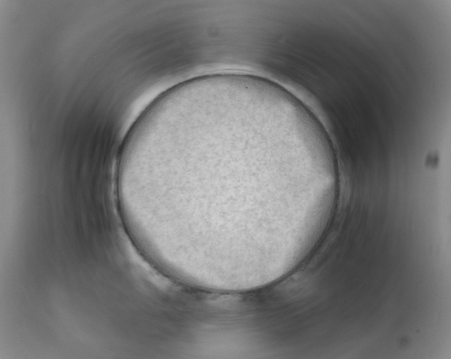 X0000112091006200909151132