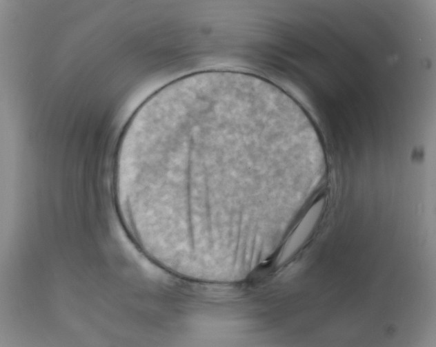 X0000112091007200909151132