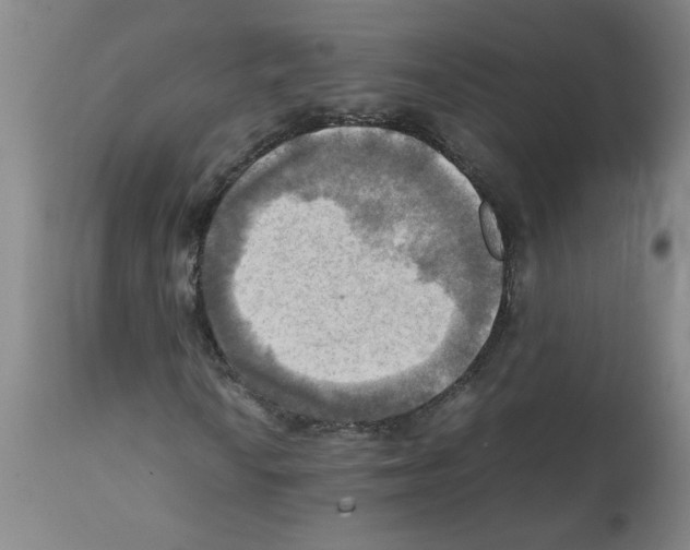 X0000112091010200909151131