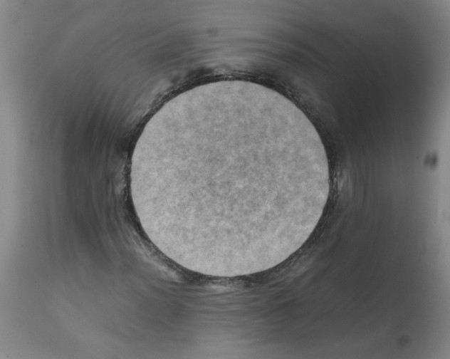 X0000112091012200909151131