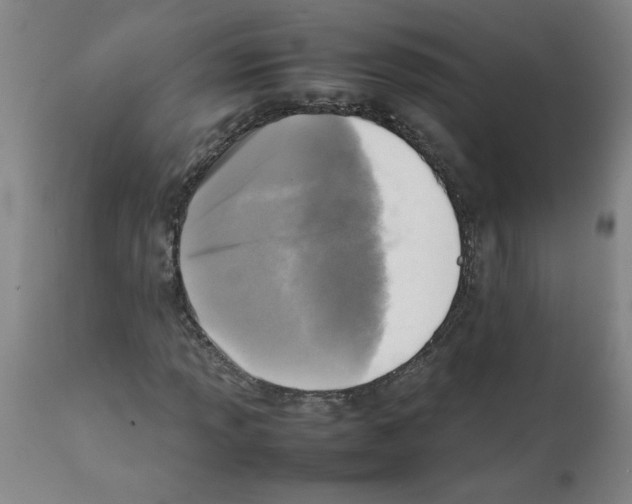 X0000112091013200909151131