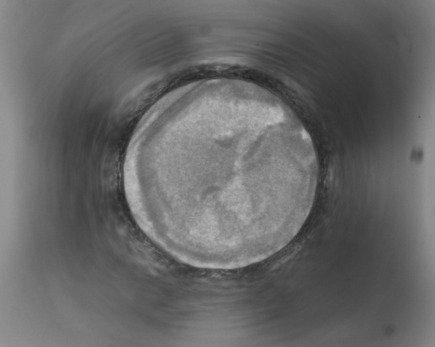 X0000112091014200909151131