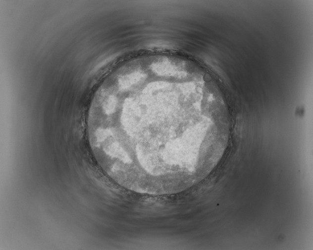 X0000112091015200909151131