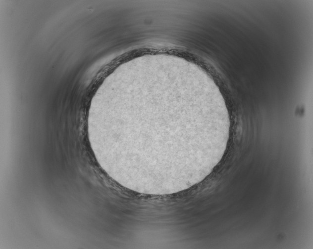 X0000112091016200909151131
