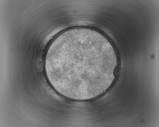 X0000112091018200909151131