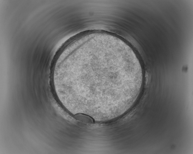 X0000112091020200909151131