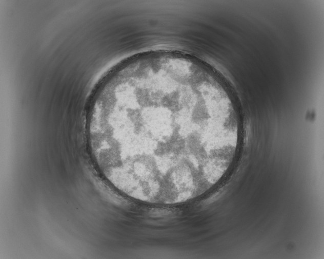 X0000112091021200909151131