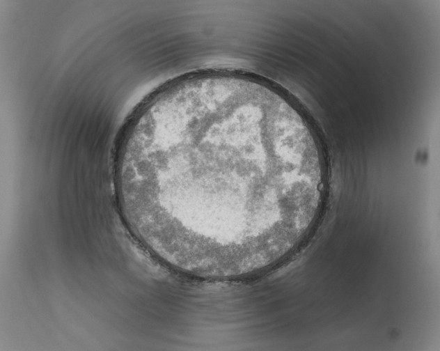X0000112091022200909151131