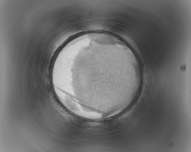 X0000112091023200909151131