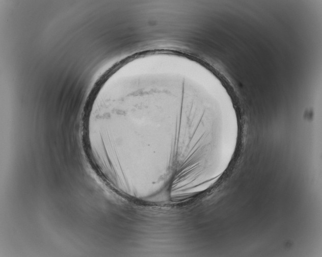 X0000112091024200909151131