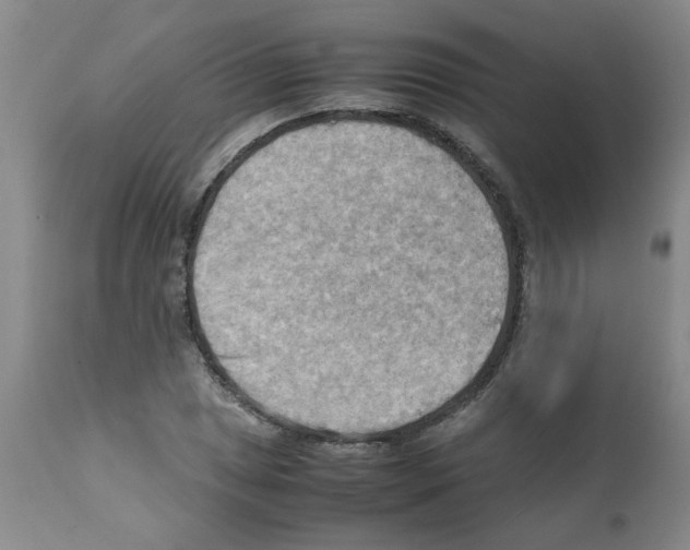 X0000112091025200909151131