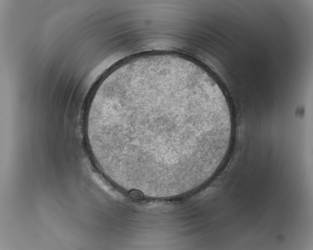 X0000112091026200909151131