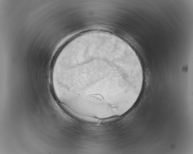 X0000112091028200909151131