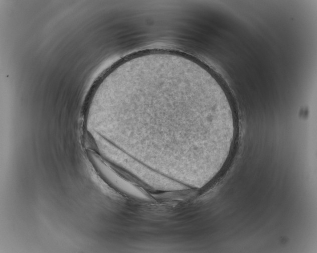 X0000112091029200909151131