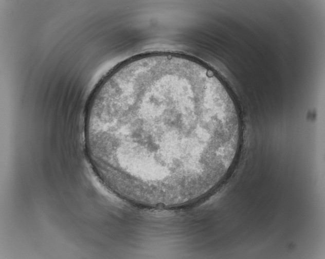 X0000112091030200909151131