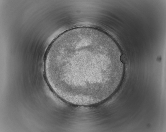 X0000112091034200909151131