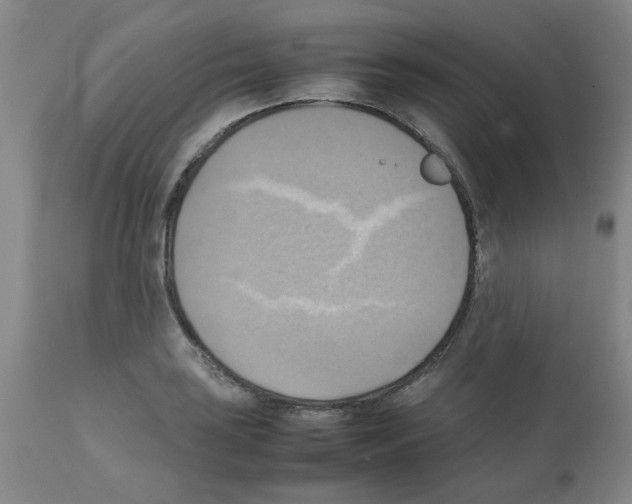 X0000112091035200909151131