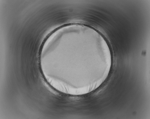 X0000112091037200909151131