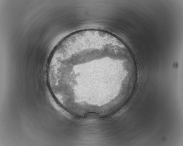 X0000112091038200909151131