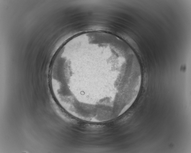X0000112091039200909151132