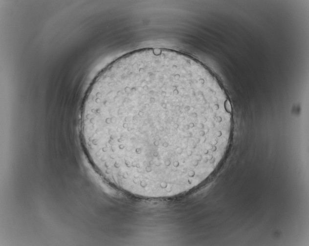 X0000112091040200909151132