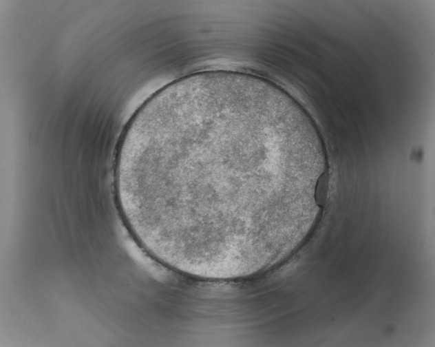 X0000112091042200909151132