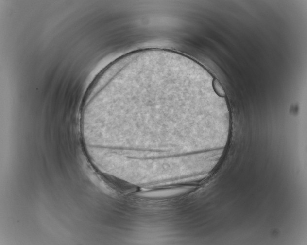 X0000112091044200909151132