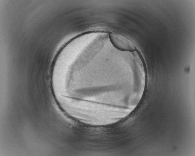X0000112091045200909151132