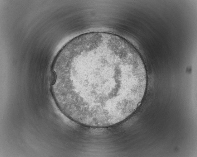 X0000112091046200909151132