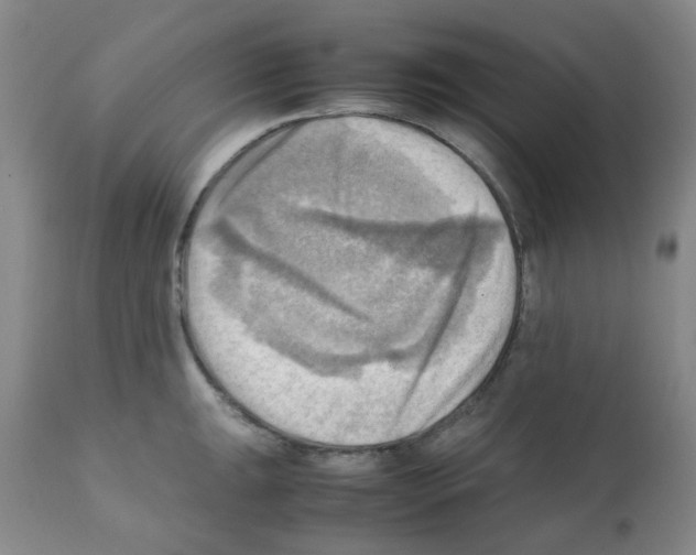 X0000112091047200909151132